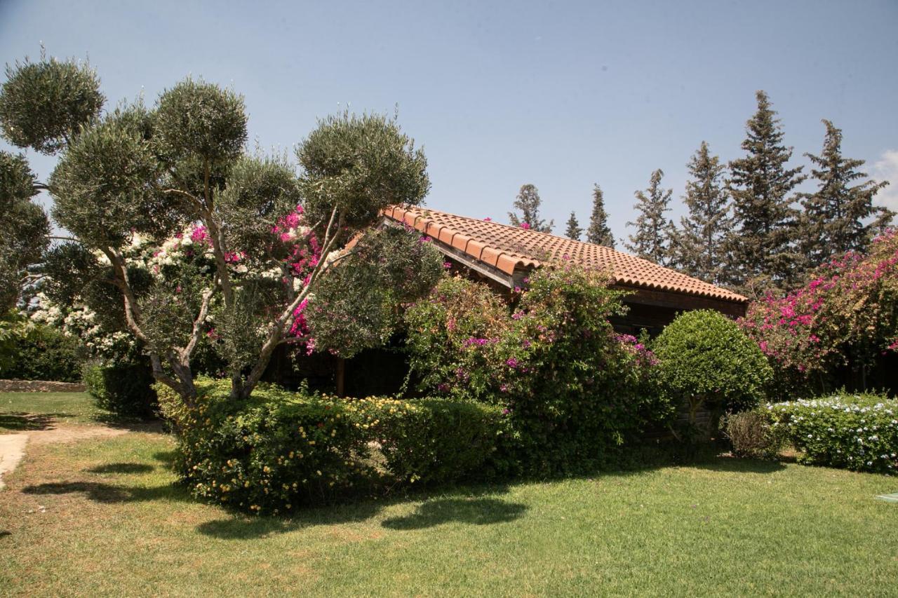 Dar Zitouna Sousse-Tunisie Exteriér fotografie
