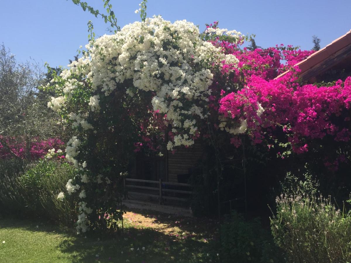 Dar Zitouna Sousse-Tunisie Exteriér fotografie