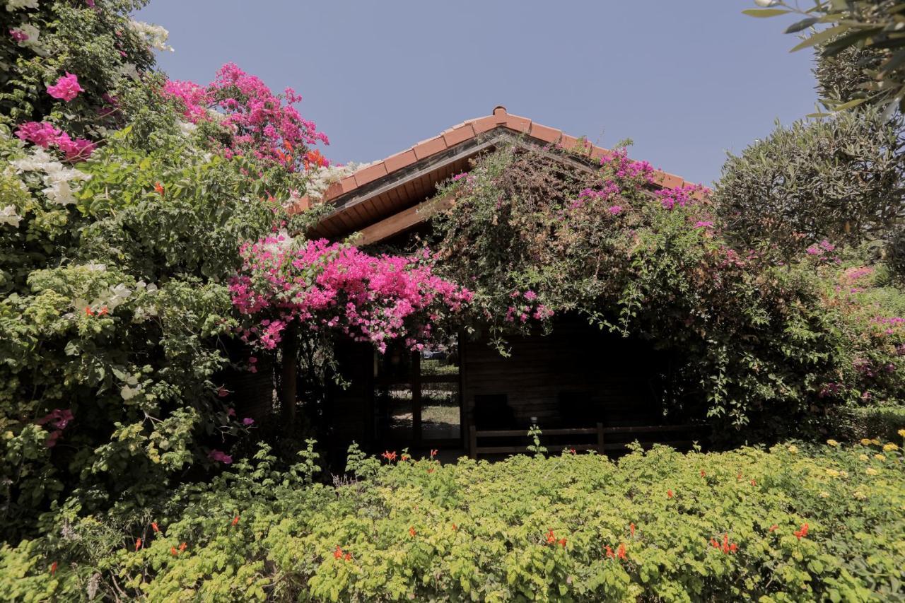 Dar Zitouna Sousse-Tunisie Exteriér fotografie