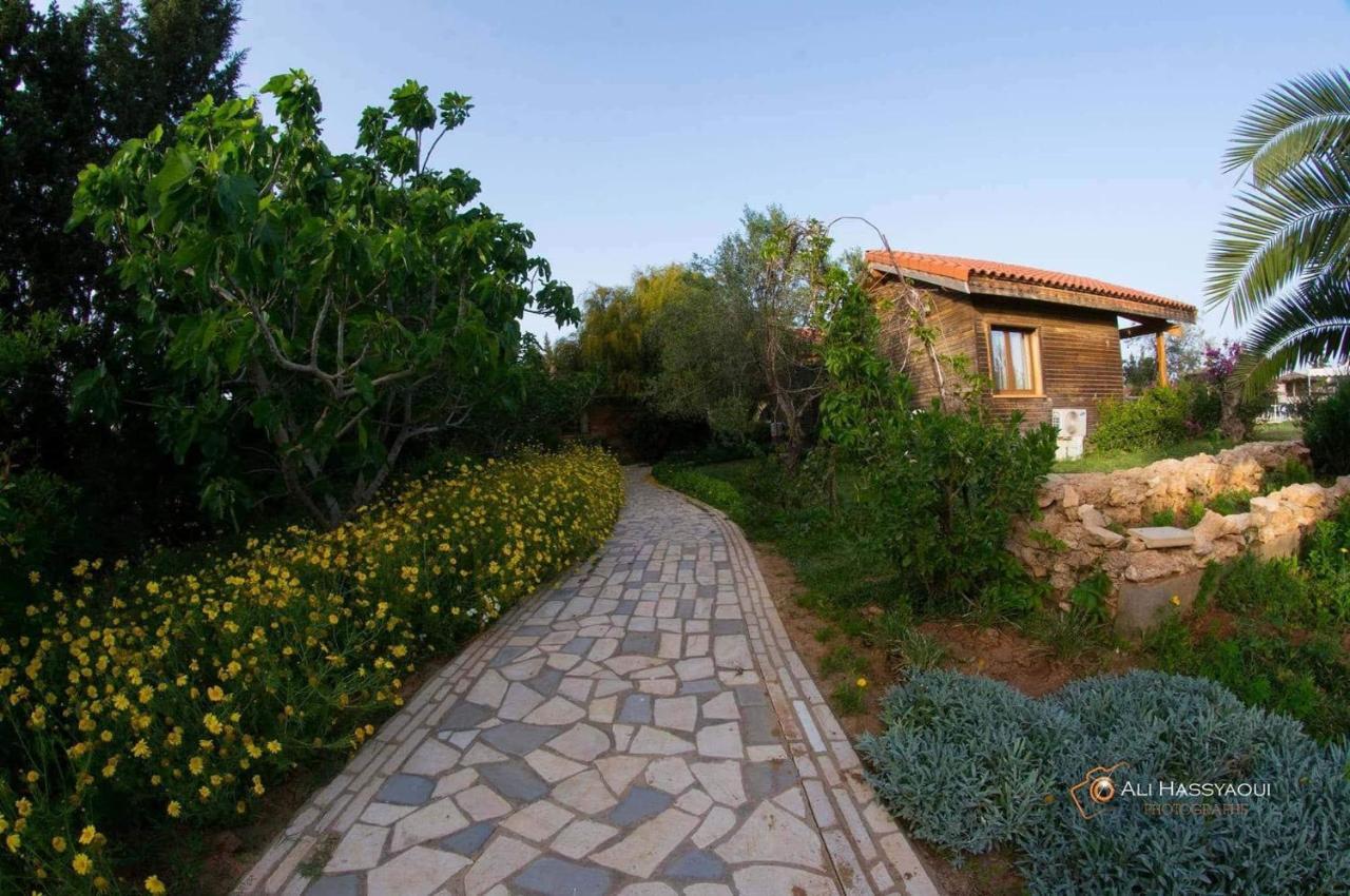 Dar Zitouna Sousse-Tunisie Exteriér fotografie
