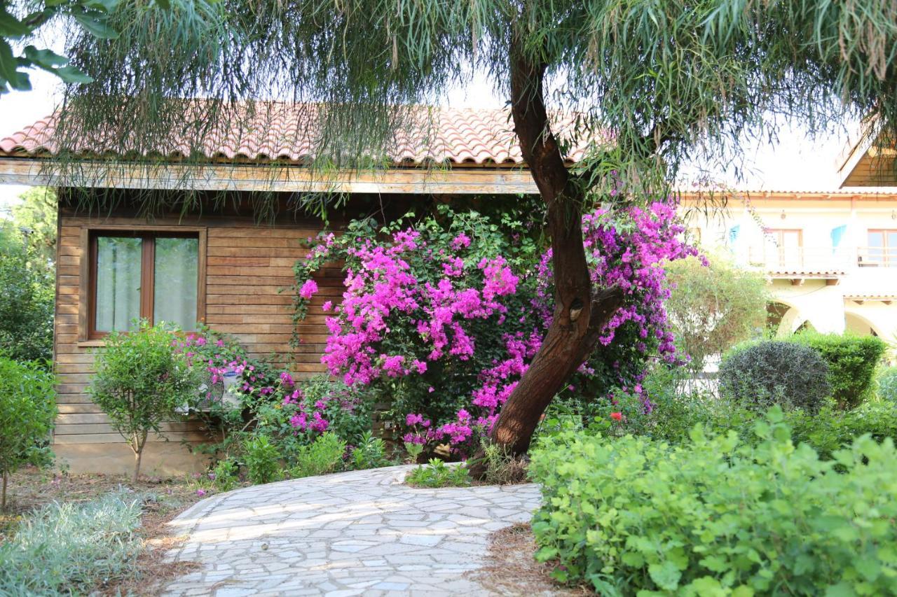Dar Zitouna Sousse-Tunisie Exteriér fotografie